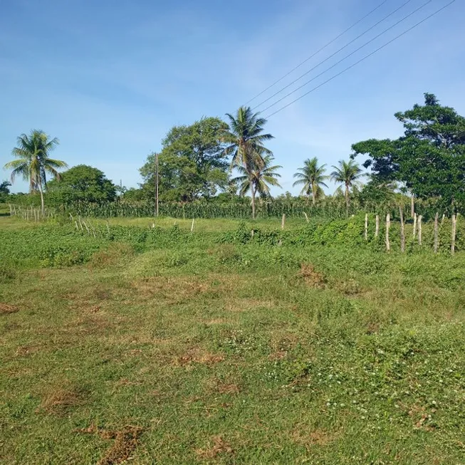 Foto 1 de Fazenda/Sítio com 3 Quartos à venda, 49000m² em Centro, São Gonçalo do Amarante