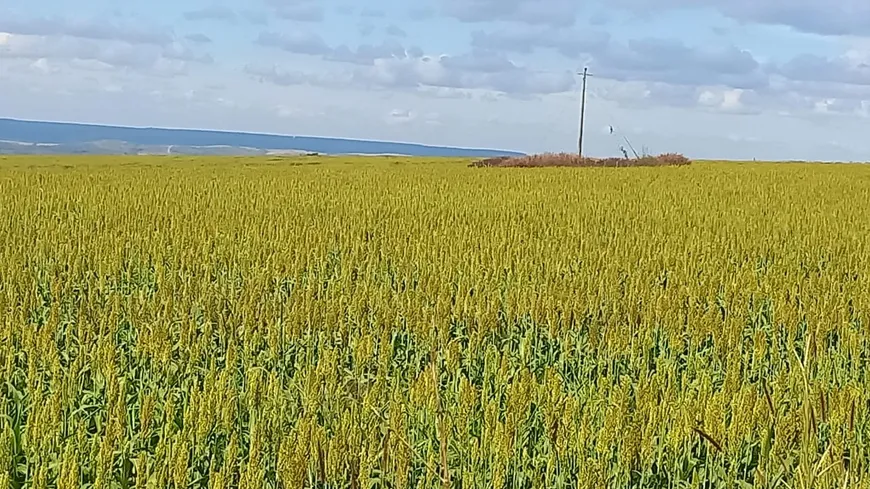 Foto 1 de Fazenda/Sítio com 7 Quartos à venda, 707m² em , Campo Alegre de Goiás