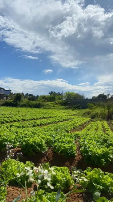 Foto 1 de Lote/Terreno à venda, 500m² em Chácara do Rosário, Ibiúna