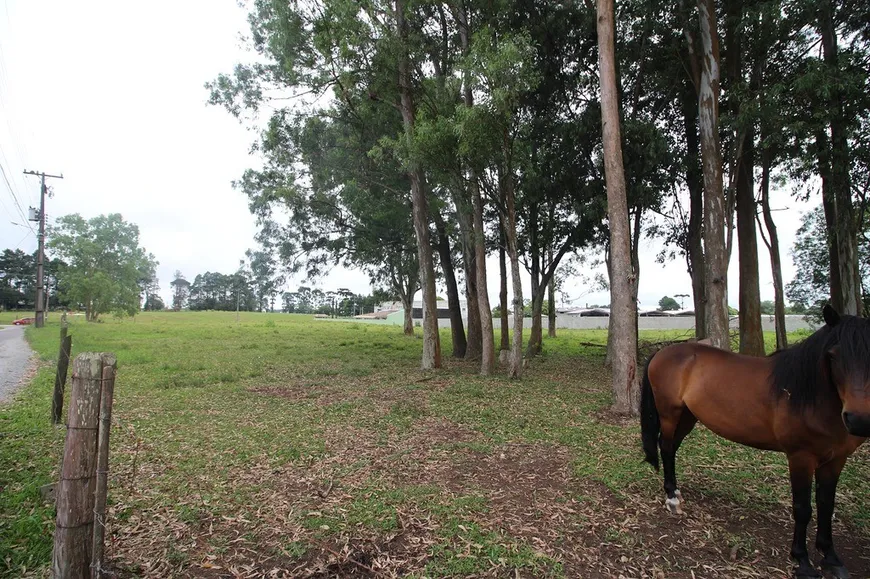 Foto 1 de para alugar, 6085m² em Quississana, São José dos Pinhais