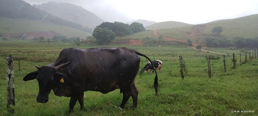 Foto 1 de Fazenda/Sítio com 3 Quartos à venda, 700m² em Corrego Do Ouro, Macaé