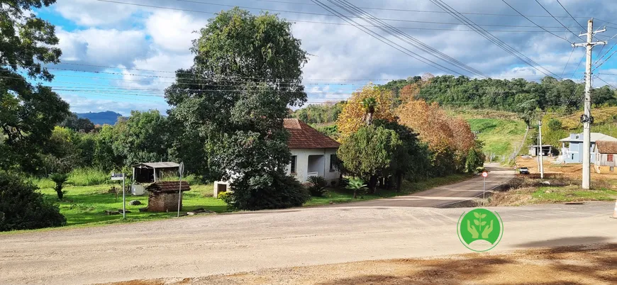 Foto 1 de Fazenda/Sítio à venda, 121000m² em Vale dos Vinhedos, Bento Gonçalves