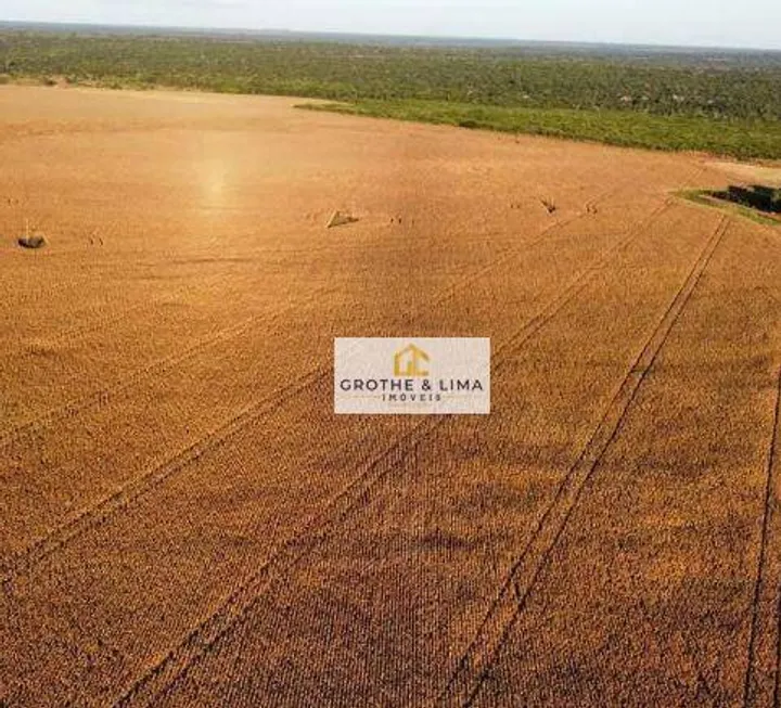 Foto 1 de Fazenda/Sítio com 7 Quartos à venda, 300m² em Parque Vale Araguaia, Araguaína