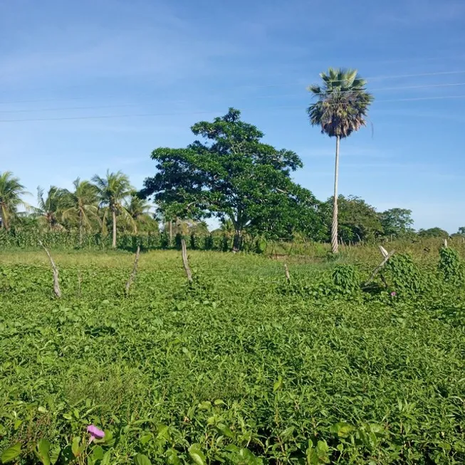 Foto 1 de Fazenda/Sítio com 3 Quartos à venda, 49000m² em Centro, São Gonçalo do Amarante