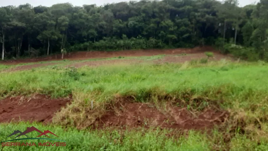 Foto 1 de Lote/Terreno à venda, 547m² em Nova Petropolis, Nova Petrópolis