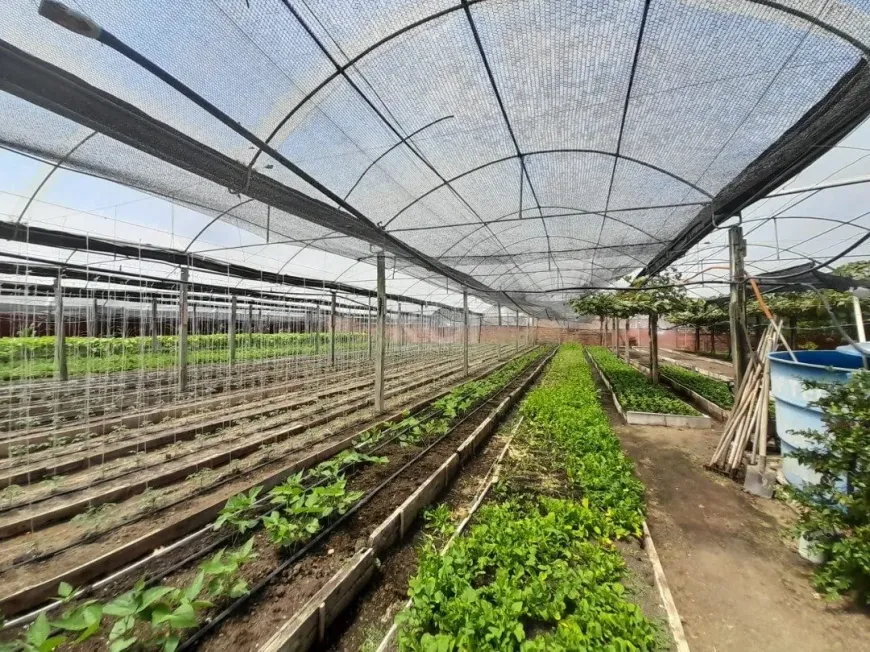 Foto 1 de Galpão/Depósito/Armazém à venda, 2m² em Campo Novo, Porto Alegre