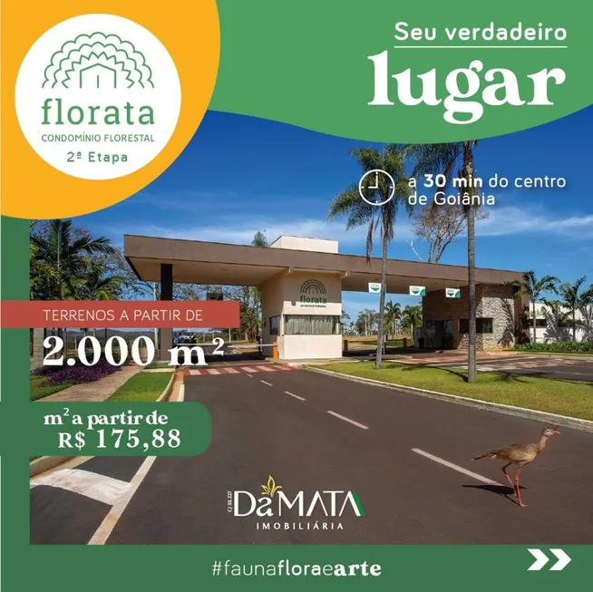 Foto 1 de Fazenda/Sítio com 1 Quarto à venda, 150m² em , Santo Antônio de Goiás