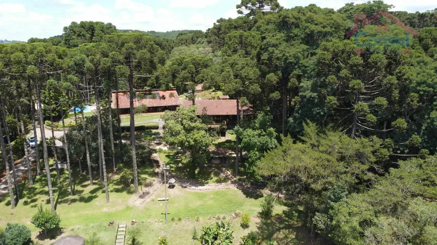 Foto 1 de Fazenda/Sítio com 3 Quartos à venda, 168000m² em Salgadinho, Campo Largo