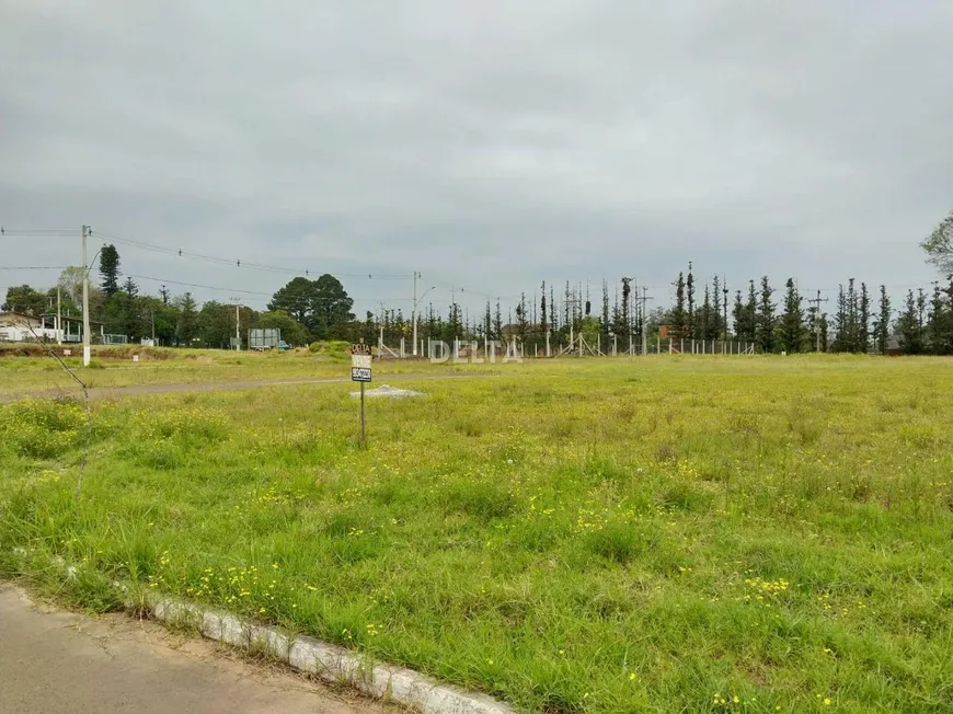 Foto 1 de Lote/Terreno à venda, 444m² em Campo Grande, Estância Velha