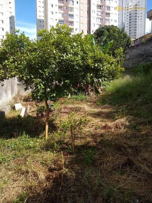 Foto 1 de Lote/Terreno para alugar, 360m² em Vila Augusta, Guarulhos