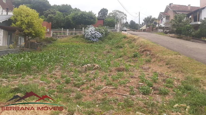 Foto 1 de Lote/Terreno à venda, 393m² em Logradouro, Nova Petrópolis