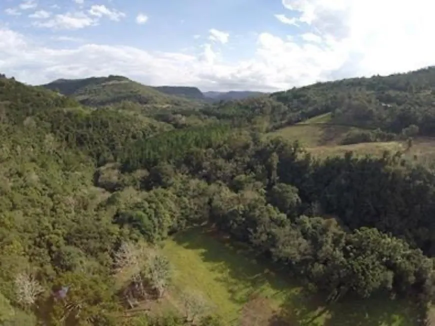 Foto 1 de Fazenda/Sítio com 1 Quarto à venda, 222034m² em Mato Queimado, Gramado