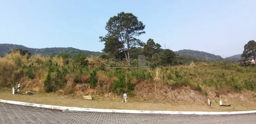 Foto 1 de Lote/Terreno à venda, 450m² em Itacorubi, Florianópolis