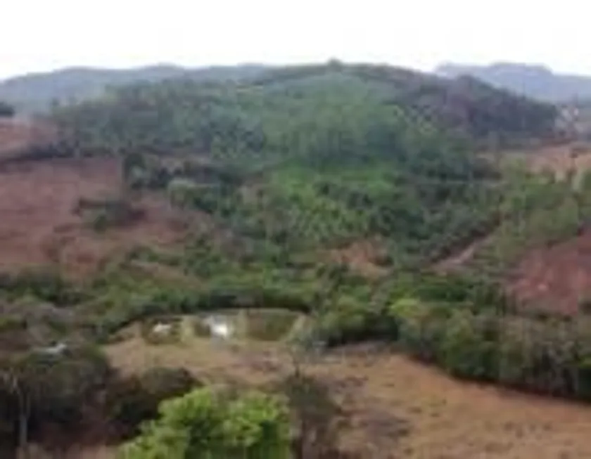 Foto 1 de Lote/Terreno à venda, 20000m² em Mocambeiro, Matozinhos