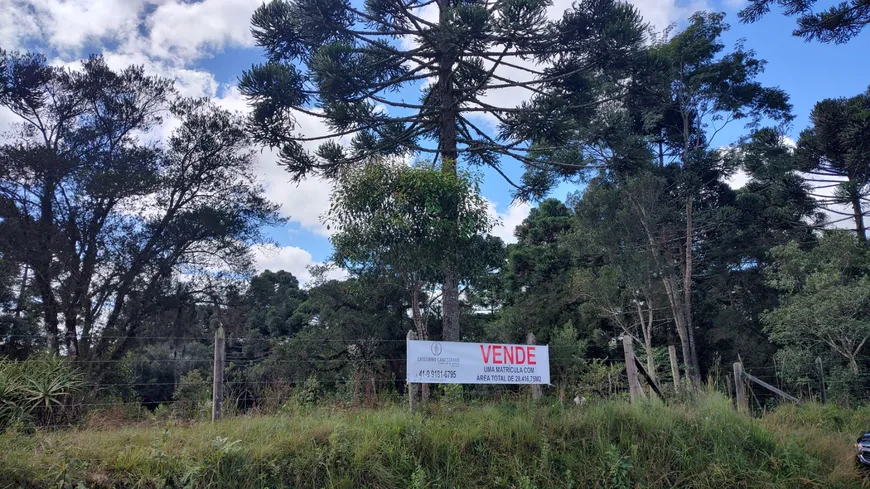 Foto 1 de Fazenda/Sítio à venda, 28416m² em Zacarias, São José dos Pinhais