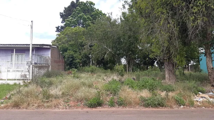 Foto 1 de Lote/Terreno à venda, 360m² em São Luiz Gonzaga, Passo Fundo