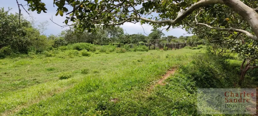 Foto 1 de Fazenda/Sítio com 3 Quartos à venda, 36m² em Zona Rural, Corumbá de Goiás