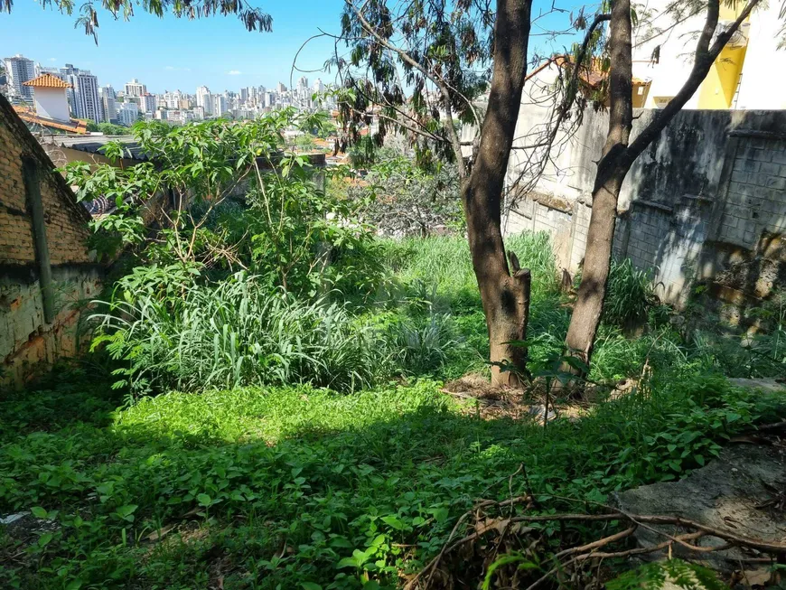 Foto 1 de Lote/Terreno à venda, 340m² em São Bento, Belo Horizonte