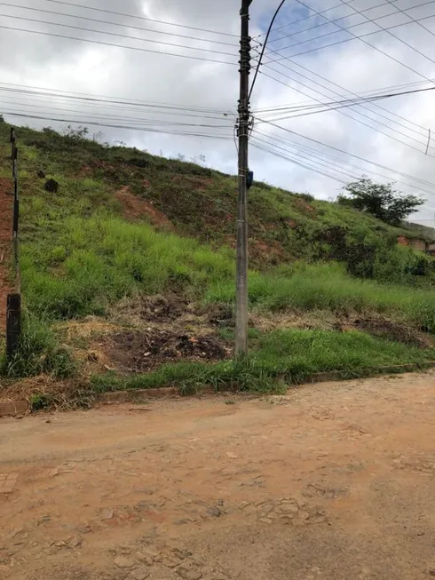 Foto 1 de Lote/Terreno à venda, 442m² em Vale Verde, Ponte Nova