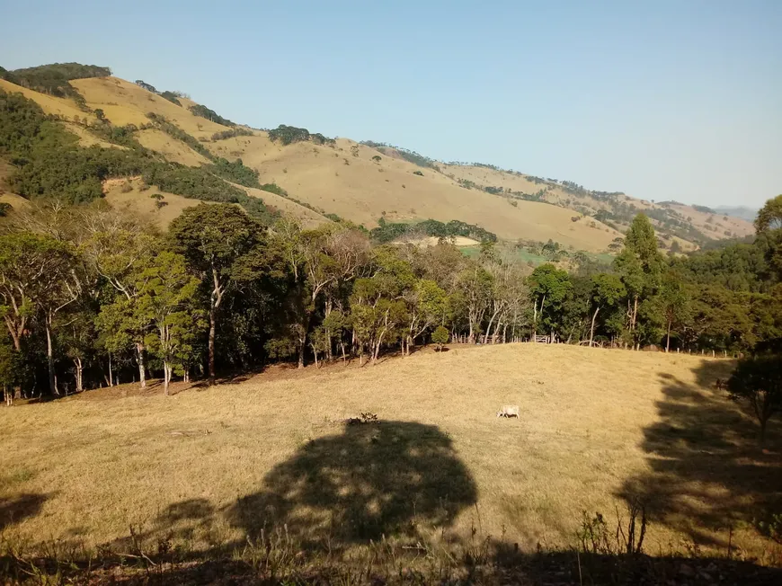 Foto 1 de Fazenda/Sítio à venda, 3000m² em Zona Rural, Delfim Moreira