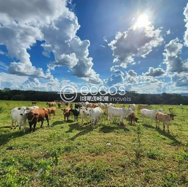 Foto 1 de Fazenda/Sítio com 4 Quartos à venda, 500m² em Zona Rural, Campo Florido