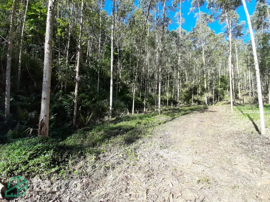 Foto 1 de Fazenda/Sítio à venda, 20000m² em Estrada das Areias, Indaial