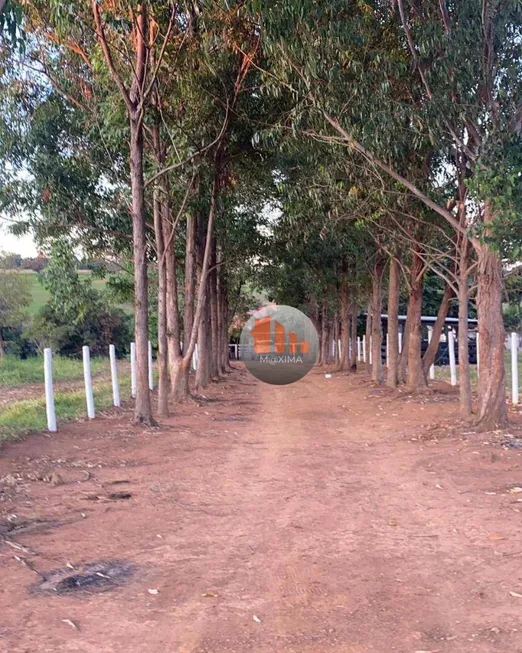 Foto 1 de Fazenda/Sítio com 2 Quartos à venda, 290400m² em Zona Rural, Mossâmedes