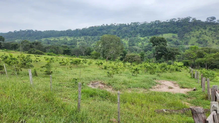 Foto 1 de Fazenda/Sítio com 5 Quartos à venda, 1640m² em Zona Rural, Reserva do Cabaçal