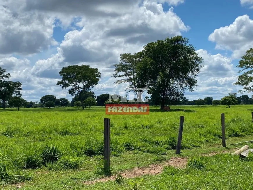 Foto 1 de Fazenda/Sítio à venda, 1815m² em Zona Rural, Cocalinho