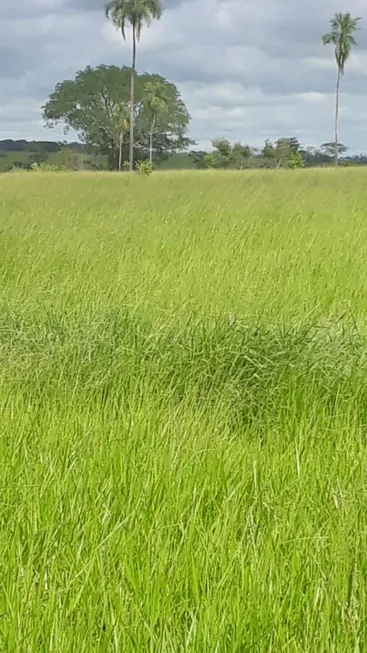 Foto 1 de Fazenda/Sítio com 3 Quartos à venda, 2904000m² em , Lagoa Santa