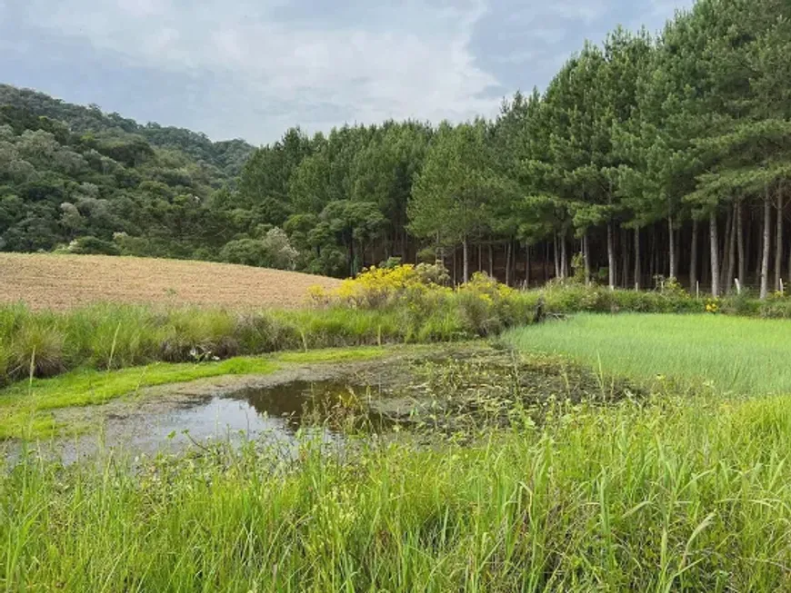 Foto 1 de Fazenda/Sítio à venda em Zona Rural, Bom Retiro