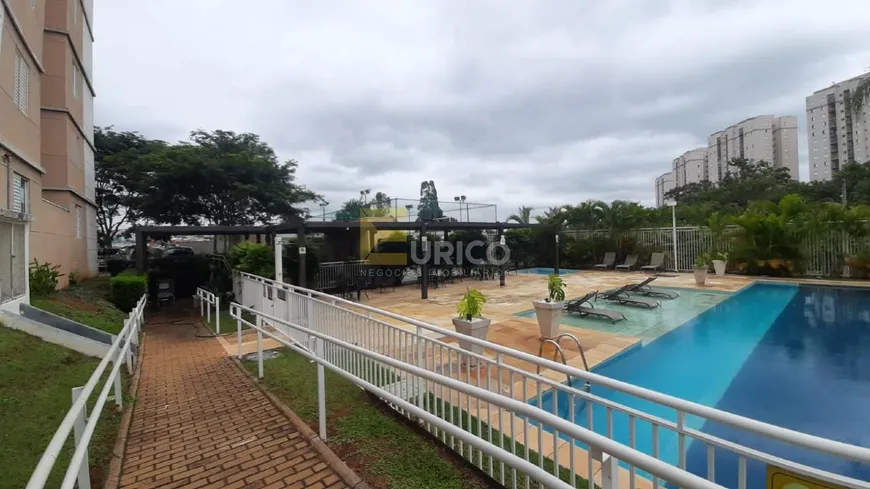 Foto 1 de Apartamento com 3 Quartos à venda, 67m² em Residencial Parque da Fazenda, Campinas