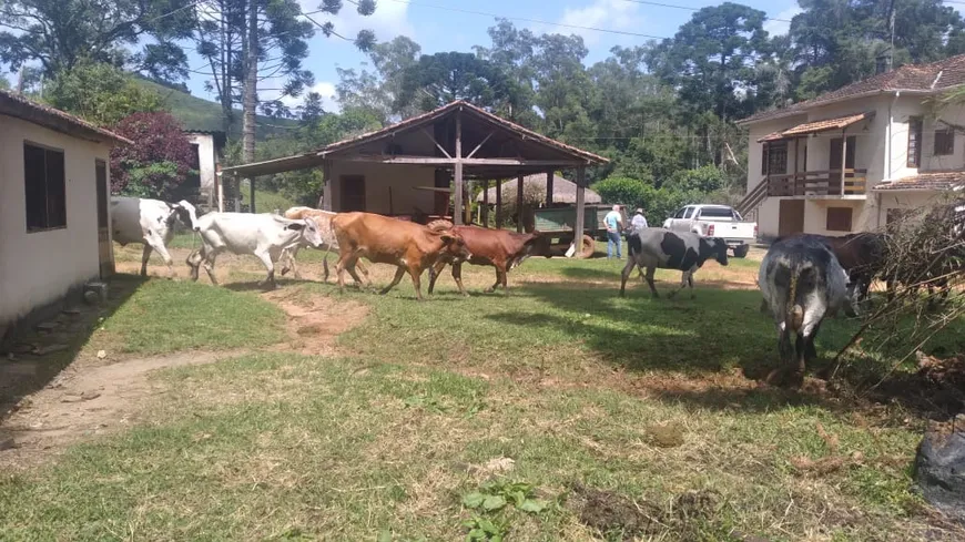 Foto 1 de Fazenda/Sítio com 3 Quartos à venda, 120m² em Area Rural de Itajuba, Itajubá