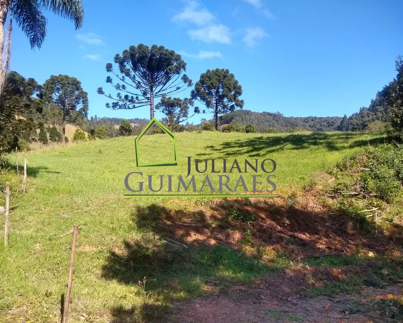 Foto 1 de Fazenda/Sítio com 5 Quartos à venda, 130m² em Centro, Anitápolis