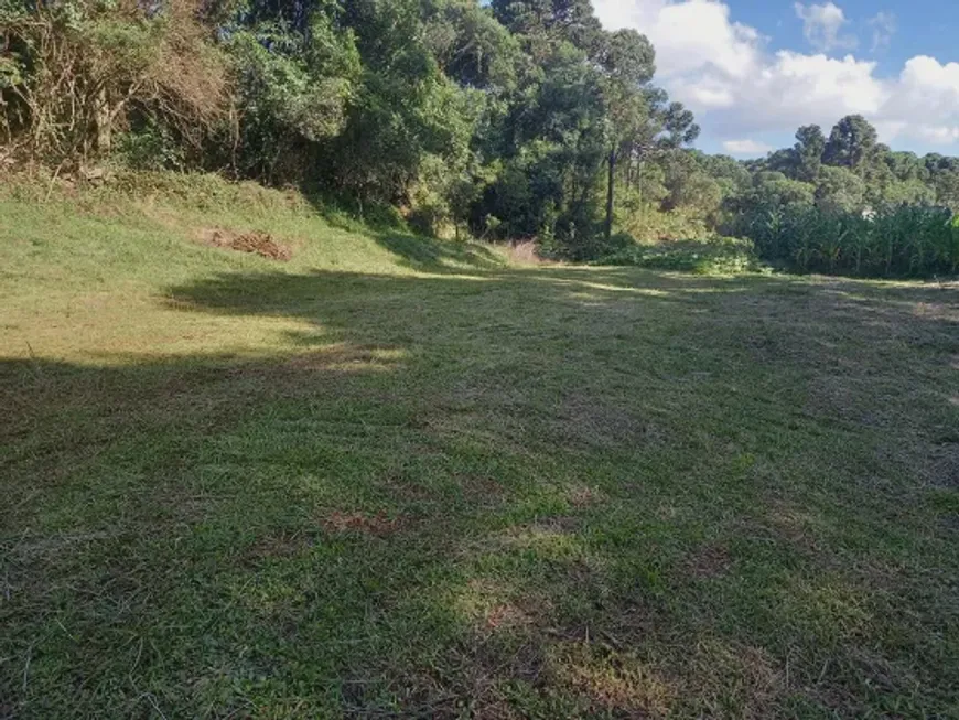 Foto 1 de Lote/Terreno à venda em Zona Rural, Urupema