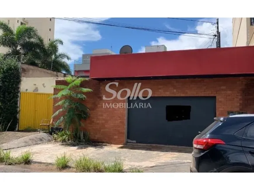 Foto 1 de Lote/Terreno à venda, 300m² em Patrimônio, Uberlândia