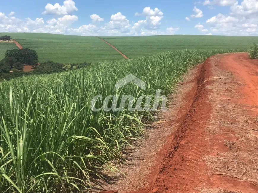 Foto 1 de Fazenda/Sítio à venda, 175m² em , Patrocínio Paulista