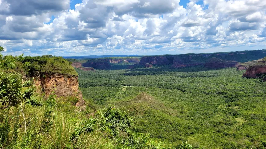 Foto 1 de Fazenda/Sítio à venda, 30210000m² em Zona Rural, Dom Aquino