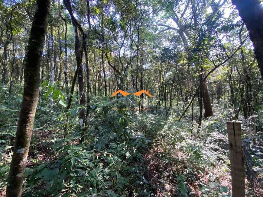 Foto 1 de Lote/Terreno à venda, 1000m² em Parque Porangaba, Brumadinho