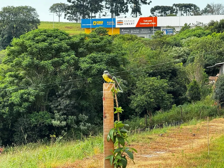 Foto 1 de Lote/Terreno à venda, 303m² em São Cristovão, Passo Fundo