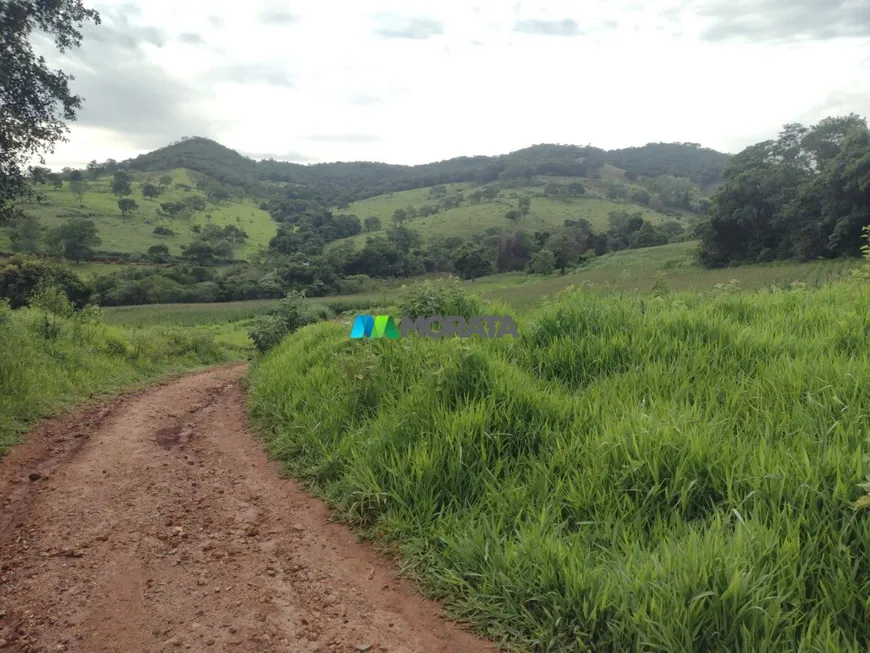 Foto 1 de Fazenda/Sítio com 2 Quartos à venda, 176m² em Zona Rural, São José da Varginha