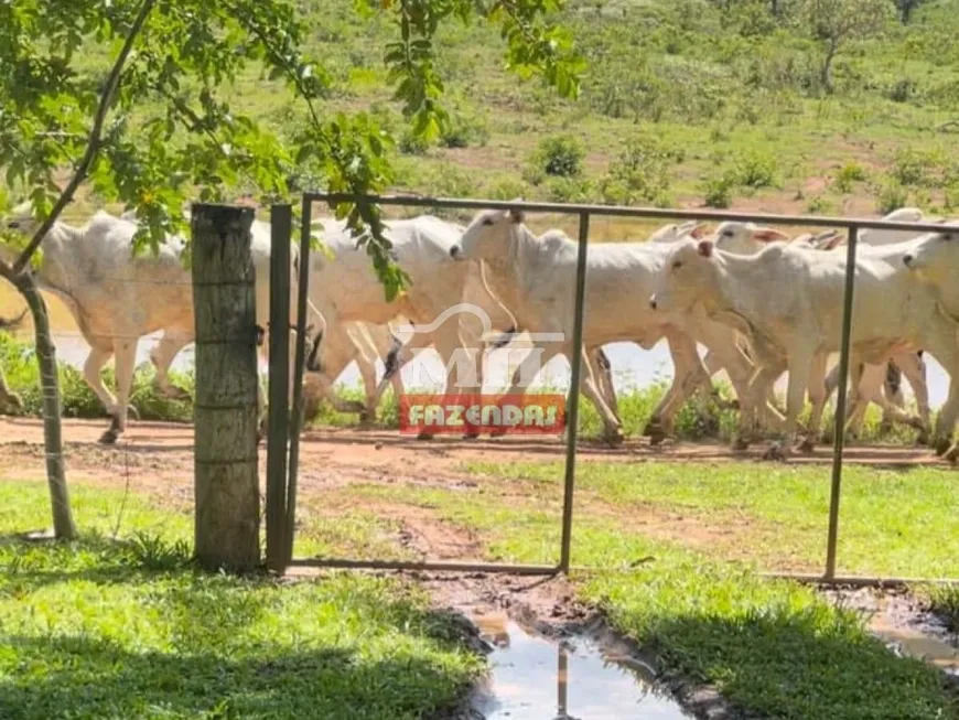 Foto 1 de Fazenda/Sítio à venda, 1161m² em Centro, Flores de Goiás