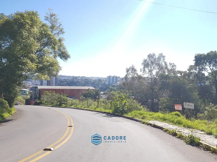 Foto 1 de Lote/Terreno à venda, 903m² em Universitário, Caxias do Sul