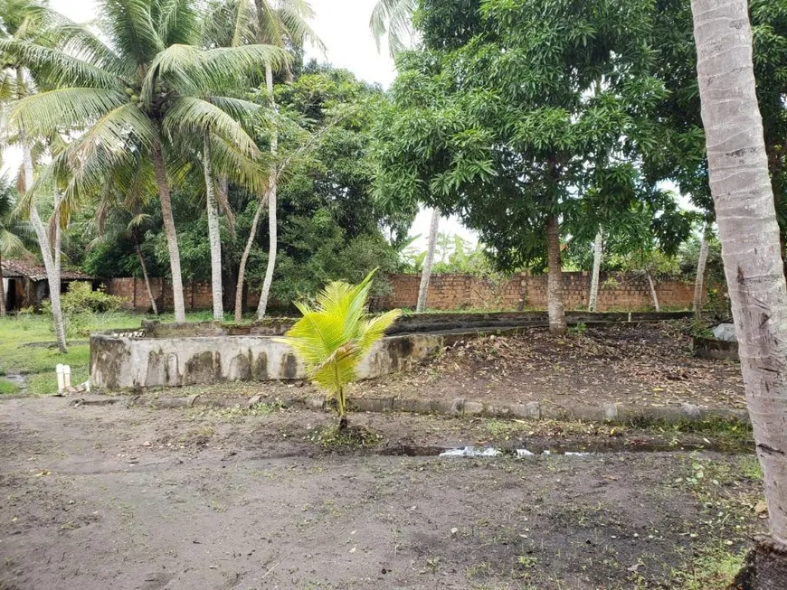 Foto 1 de Fazenda/Sítio com 5 Quartos à venda, 30000m² em Salema, Rio Tinto