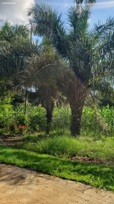 Foto 1 de Fazenda/Sítio com 2 Quartos à venda, 80m² em Setor Central, Mairipotaba