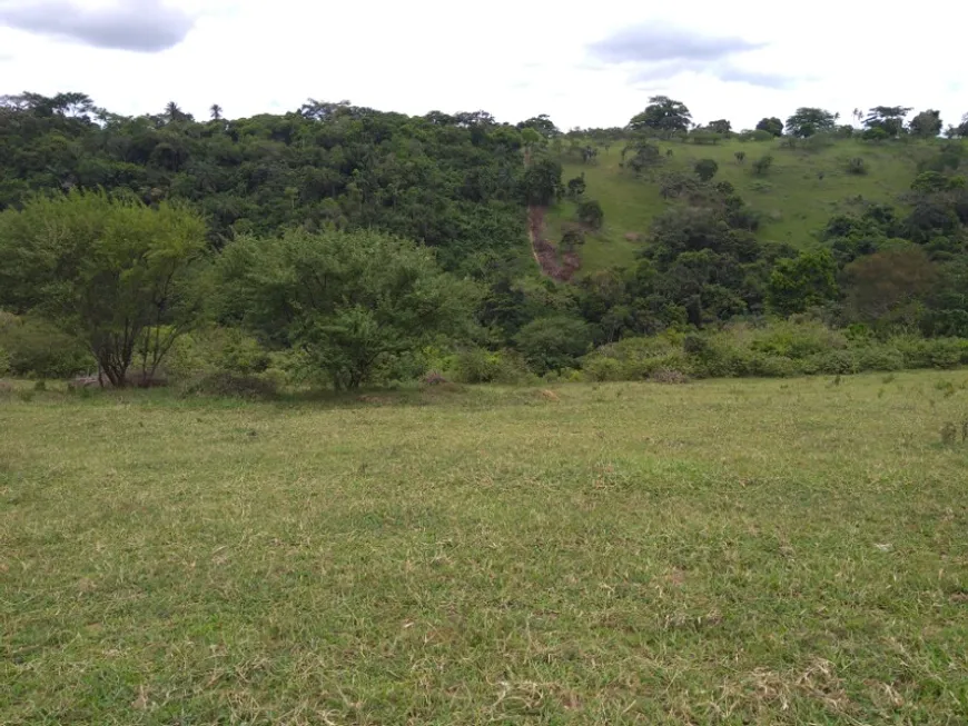 Foto 1 de Fazenda/Sítio com 2 Quartos à venda, 78408m² em Centro, Muritiba