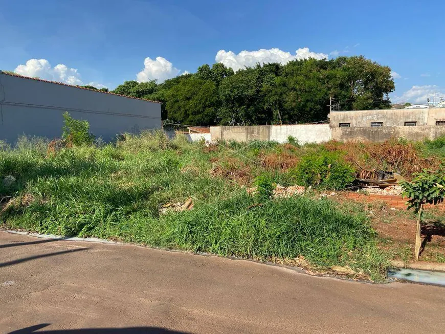 Foto 1 de Lote/Terreno à venda, 125m² em Chácara Flora, Jaú