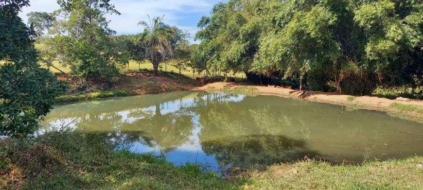 Foto 1 de Fazenda/Sítio com 4 Quartos à venda, 96800m² em Setor Central , Bela Vista de Goiás