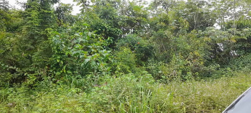 Foto 1 de Lote/Terreno à venda, 800m² em Zona Rural, Iranduba