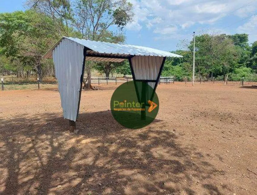 Foto 1 de Fazenda/Sítio à venda, 550000m² em Zona Rural, Cabeceiras